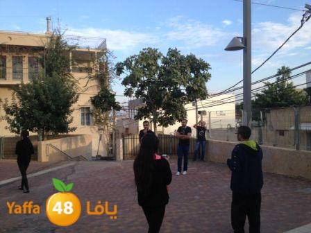 joba mashor3 (5).jpg